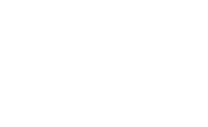 Alexandre Vergete